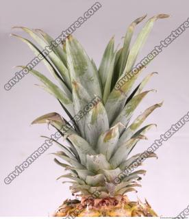 Pineapple 0015